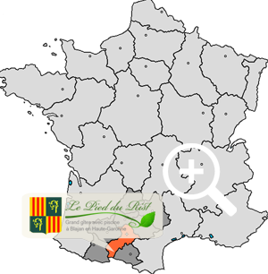 carte haute garonne france